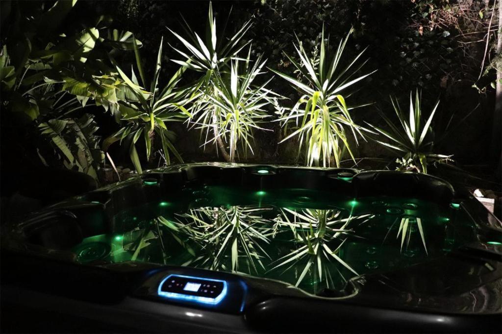 Luxury Jacuzzi Home & Terraces Málaga Esterno foto